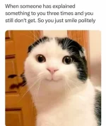 1694785051141.png