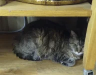 Screen Shot 2023-10-14 at 8.45.44 AM.webp