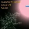 Holyblues