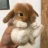 Cinnabunny